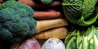 Råa vintergrönsaker med broccoli, morötter, kålrot och savojkål