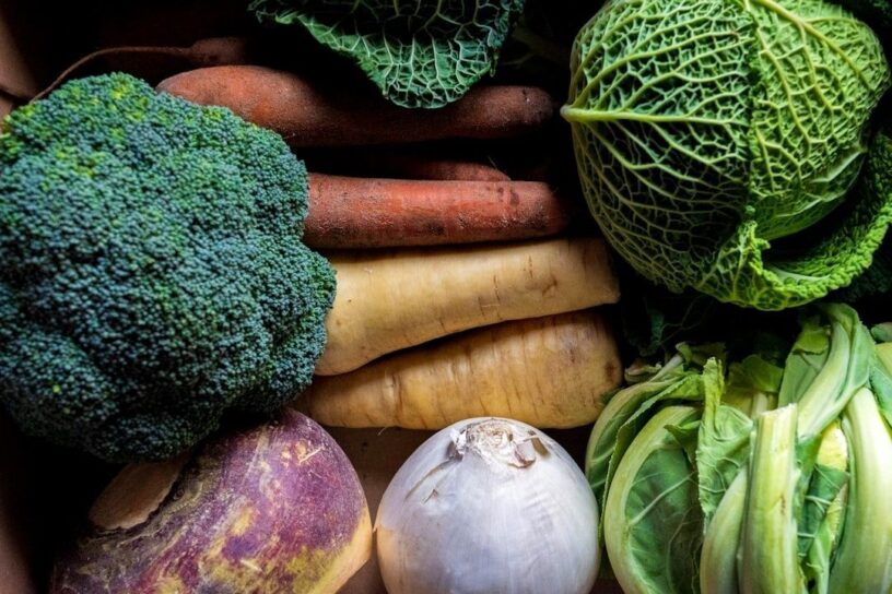 Råa vintergrönsaker med broccoli, morötter, kålrot och savojkål